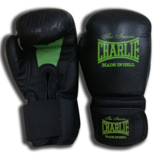 Inicio 2 Guantes boxeo MK-2