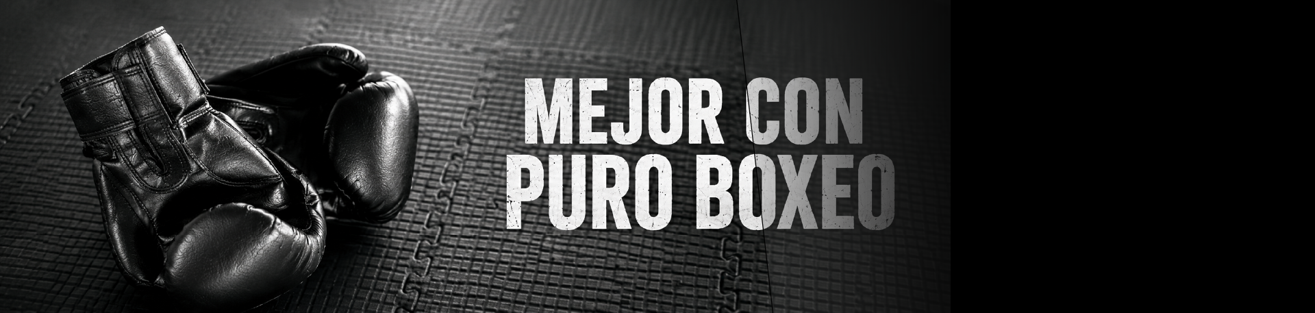 banner2-puroboxeo banner2
